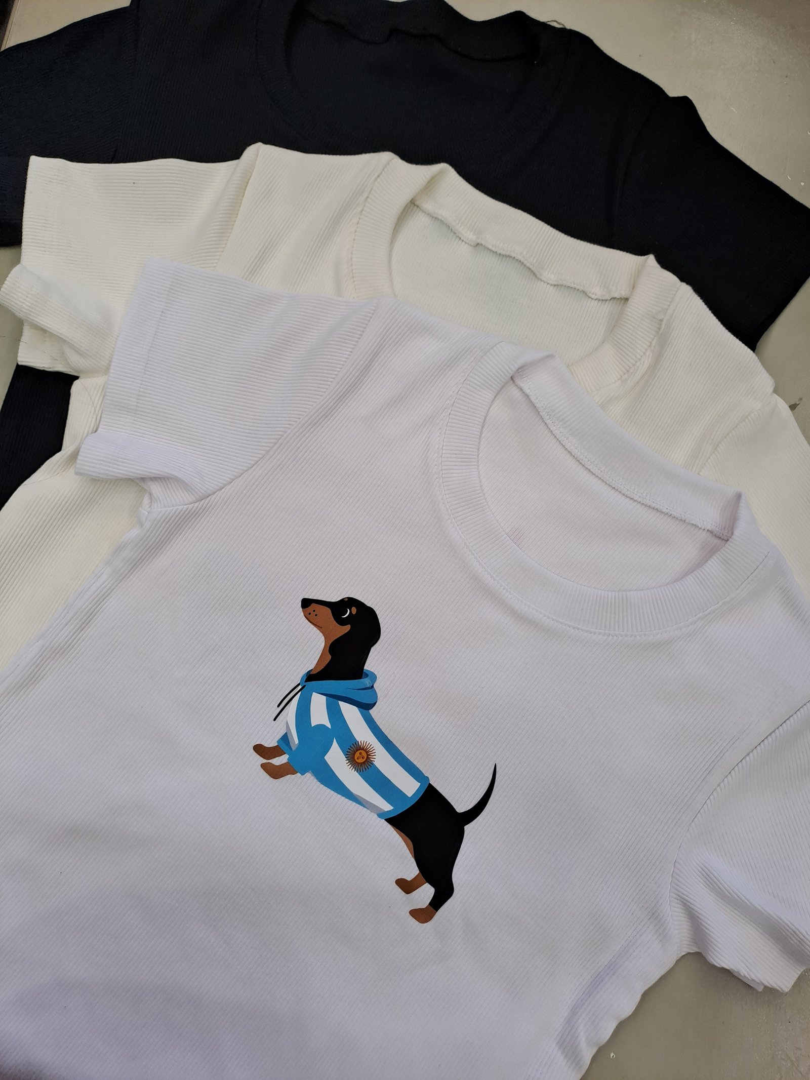 20260220_130651 REMERA ESTAMPADA ALGODON RIB